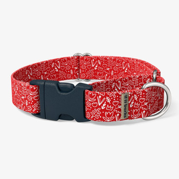front view of collar front view of collar